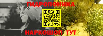 молекула духа Вышний Волочёк