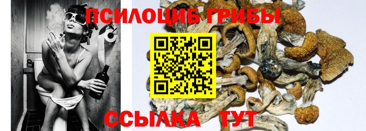 Галлюциногенные грибы мухоморы  Вход с VPN  Вичуга 