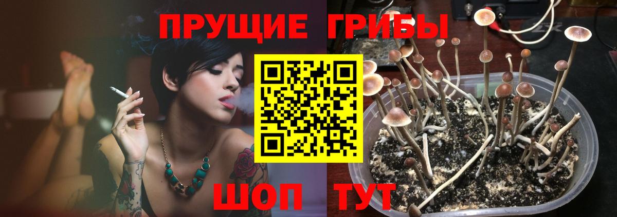 Меф МЯУ МЯУ  Бошки Шишки  Кокаин  Вход с VPN  ГАШИШ  Вичуга  Меф кристаллы  Alpha PVP СОЛЬ  