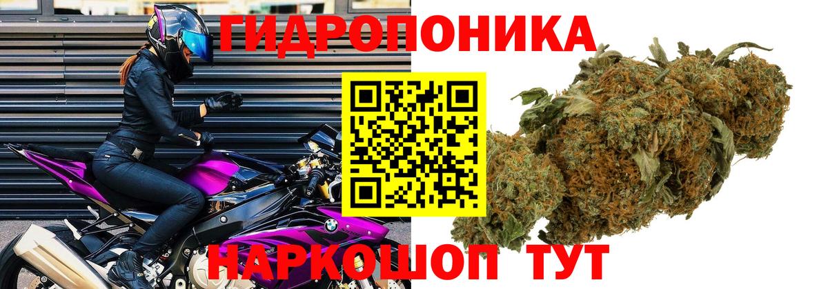 Каннабис MAZAR  Вход с VPN  Вичуга  Бошки Шишки тримм  Бошки марихуана SATIVA & INDICA 